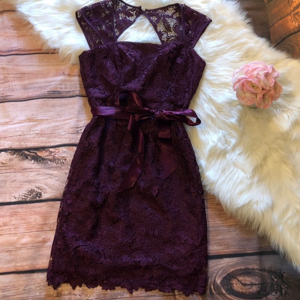 Adrianna Papell Lace Illusion Dress - size 10